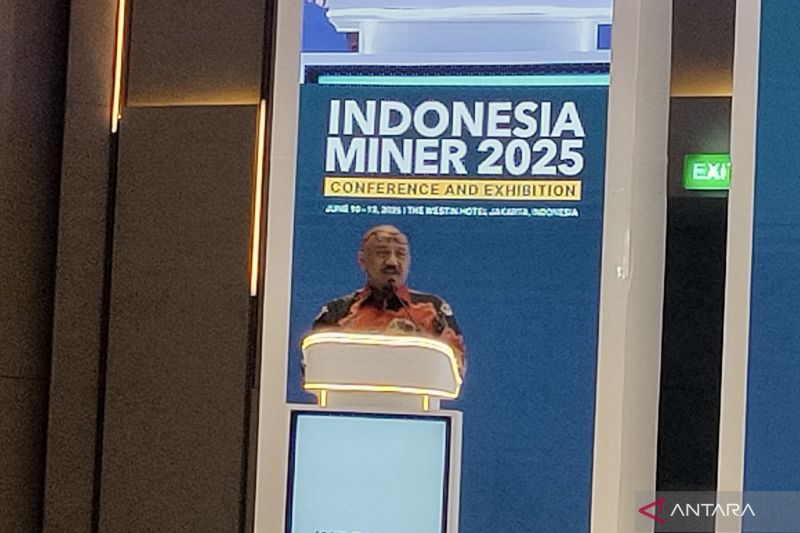 kemenko-perekonomian-tambangan-berperan-penting-dalam-transisi-energi