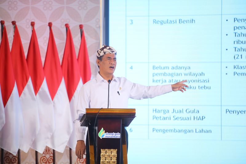mentan-benahi-tata-kelola-tebu-guna-percepat-swasembada-gula-nasional