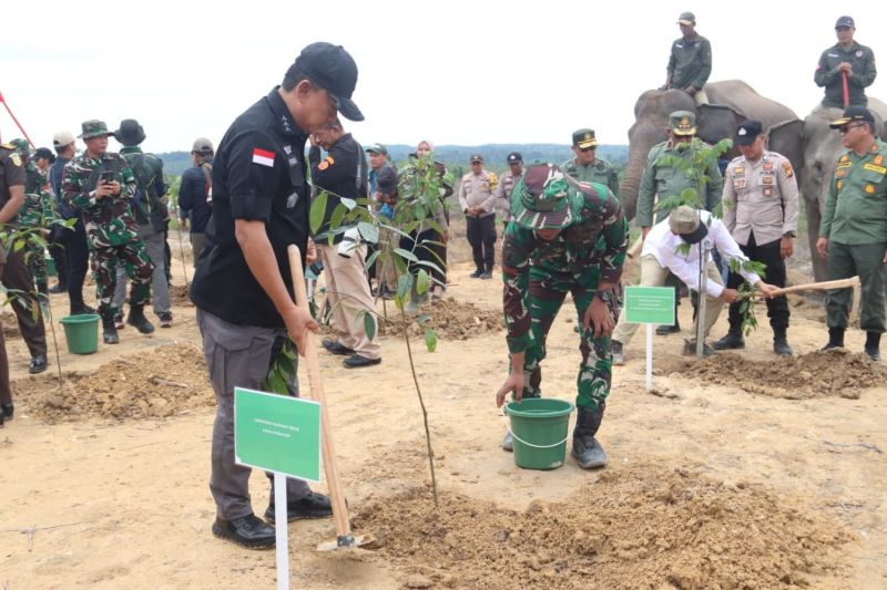 Satgas PKH Kejagung kuasai kembali 1 juta hektare lahan