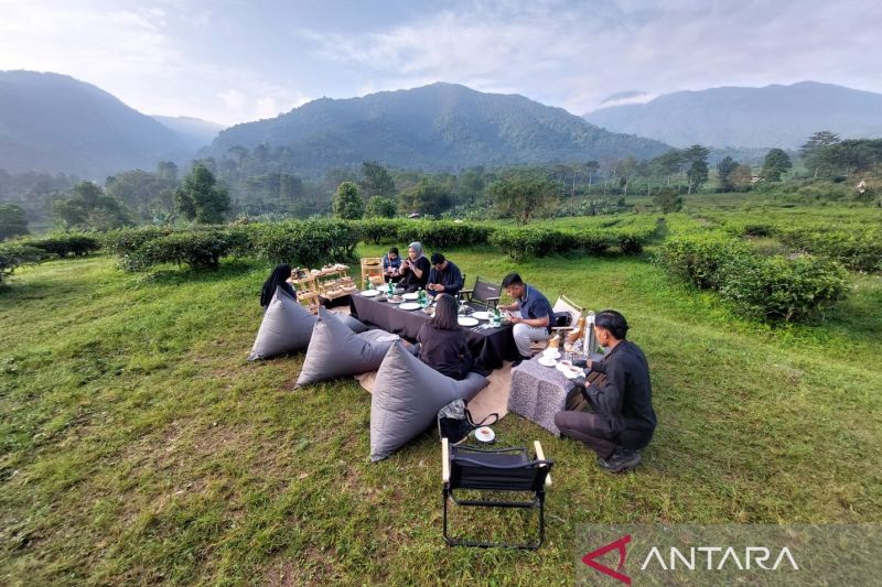 Menikmati hangatnya teh di tengah perkebunan ala Plataran Puncak