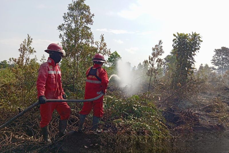 Tim gabungan terus lakukan pemadaman Karhutla di Singkawang