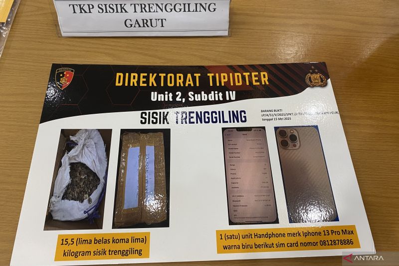 Bareskrim ungkap jaringan penjualan sisik tenggiling ilegal di Garut