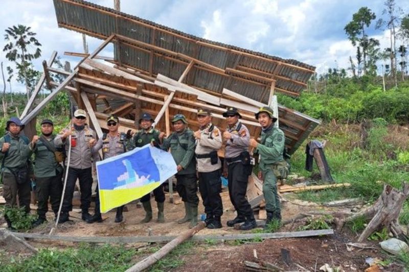 Kemenhut pastikan penguatan penertiban untuk pulihkan TN Tesso Nilo