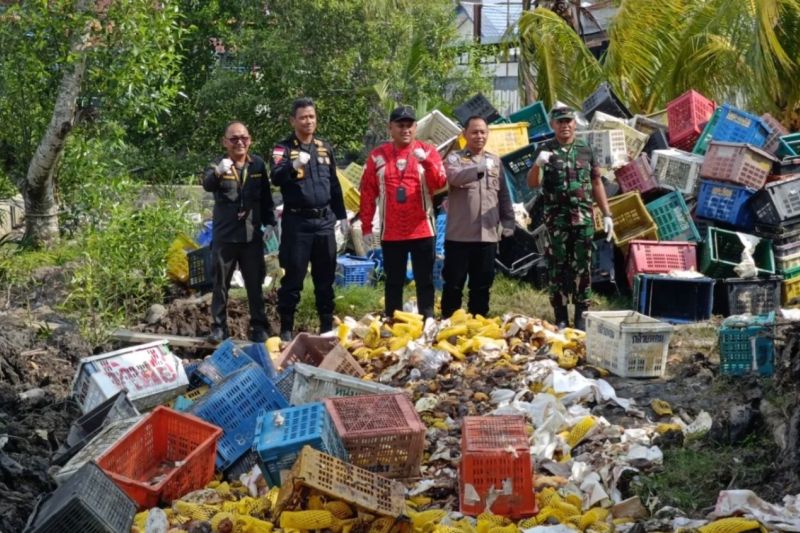 Karantina Riau musnahkan 25,9 ton mangga ilegal asal Thailand