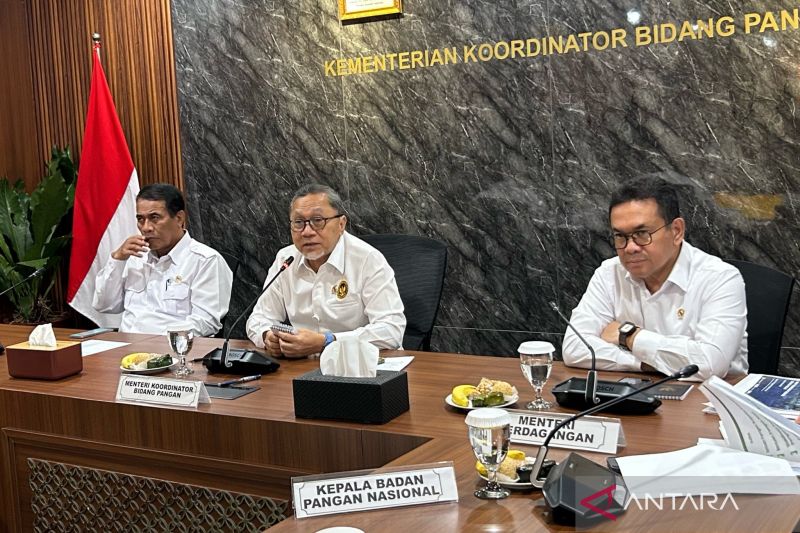 pemerintah-siap-kirim-bantuan-10-ribu-ton-beras-ke-palestina