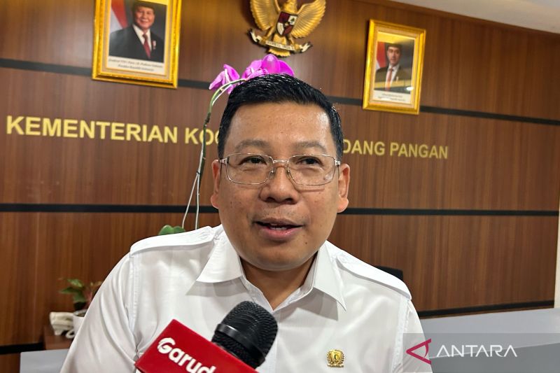 bapanas-penyaluran-bantuan-pangan-diutamakan-wilayah-indonesian-timur
