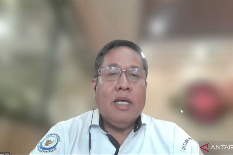 KKP: Kegiatan pertambangan tidak boleh dilakukan di pulau kecil