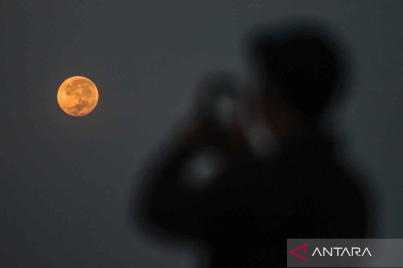 Mengenal fenomena Strawberry Moon dan bagaimana itu bisa terjadi?
