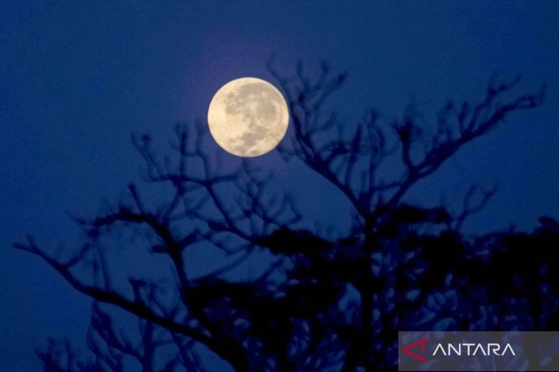 fenomena-cold-moon-purnama-akhir-tahun-yang-indah-di-langit-desember