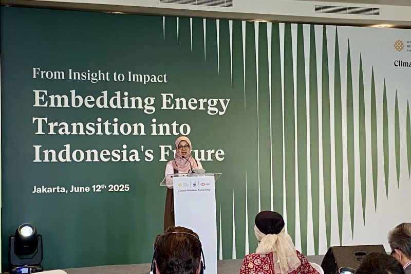 indonesia-menargetkan-17-20-persen-energi-terbarukan-pada-2025