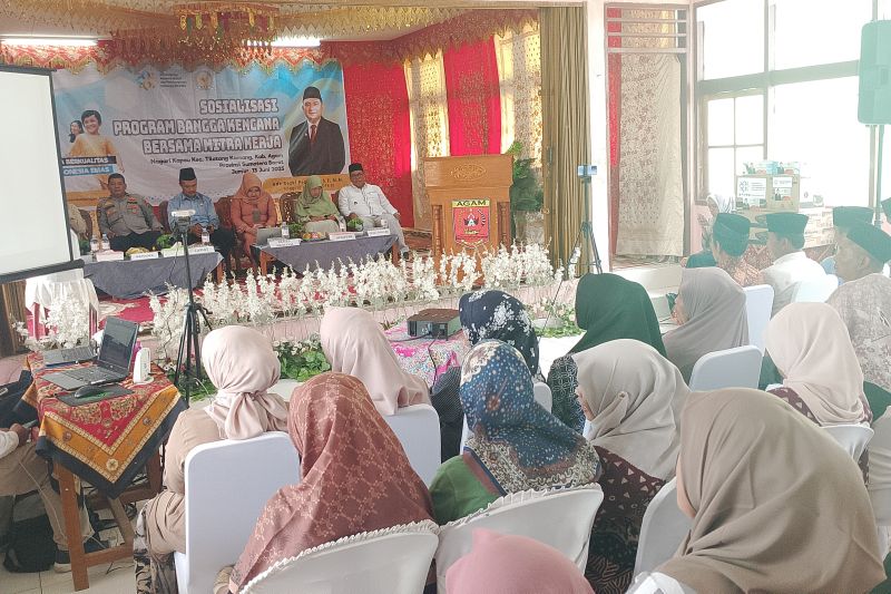 DPR RI: Antisipasi stunting penting sebelum memulai pembangunan