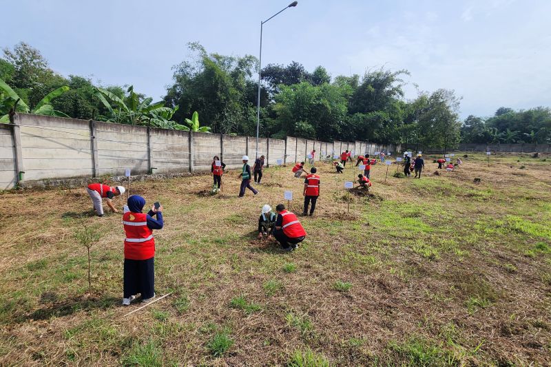 fks-lakukan-penanaman-pohon-langka-bantu-perkuat-konservasi-lingkungan