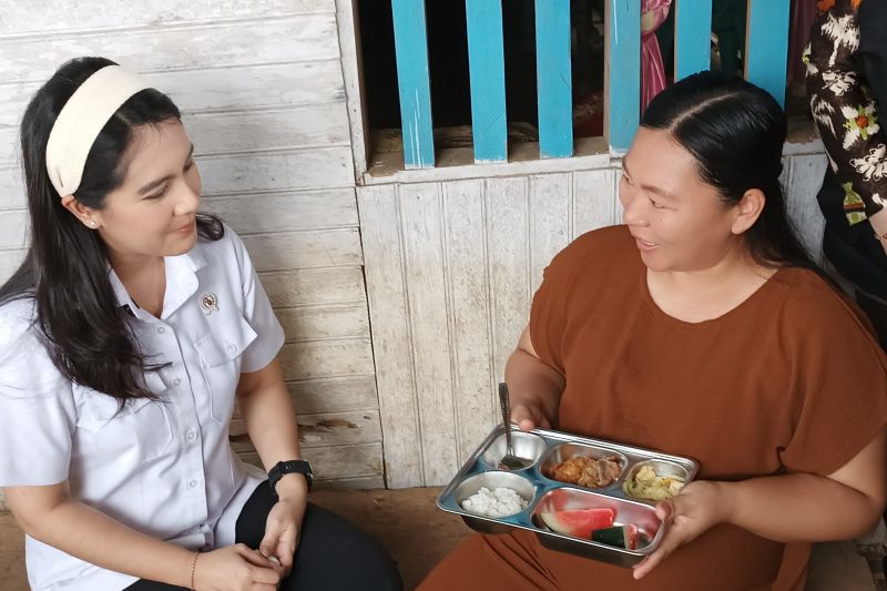 Kemendukbangga lakukan sejumlah langkah dukung implementasi PJPK
