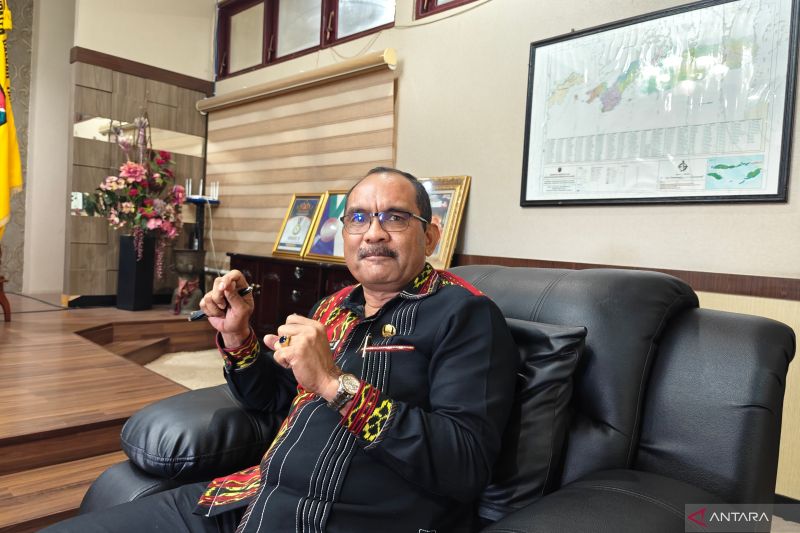 Alor siap kembangkan kacang kenari berbasis teknologi dan hilirisasi