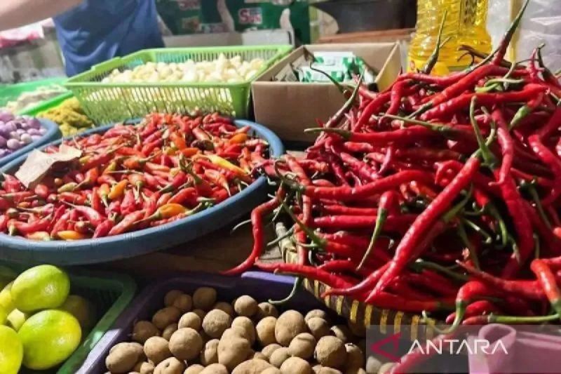 bapanas-harga-bawang-merah-rp39798kg-cabai-rawit-rp50523kg