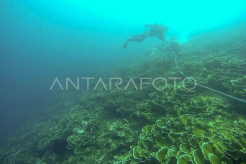 kkp-kembangkan-pulau-pieh-menjadi-laboratorium-terumbu-karang