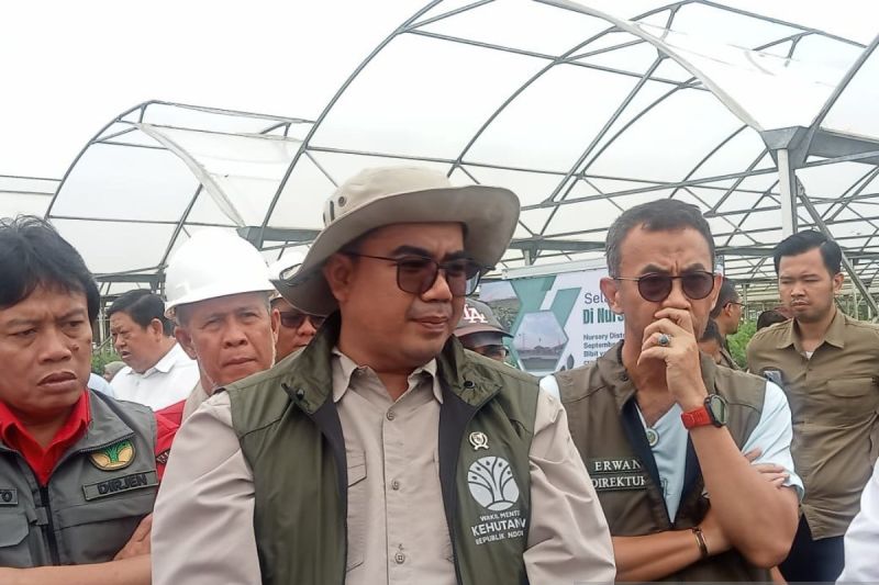 Wamenhut: Jambi diharapkan jadi percontohan antisipasi karhutla