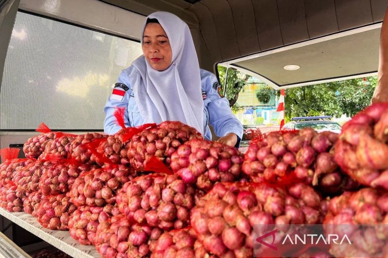 bapanas-harga-bawang-merah-rp40831kg-cabai-rawit-rp51373kg
