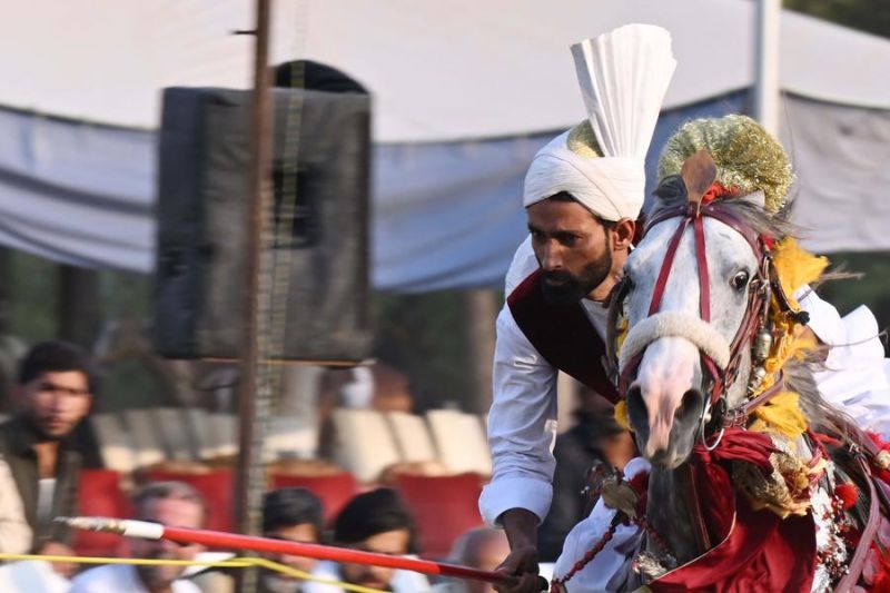 Melihat serunya kompetisi pancang tenda di Pakistan