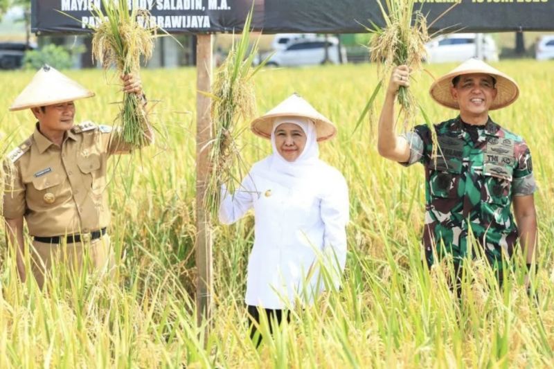 khofifah-sebut-pertanian-terpadu-lamongan-wujud-ketahanan-pangan