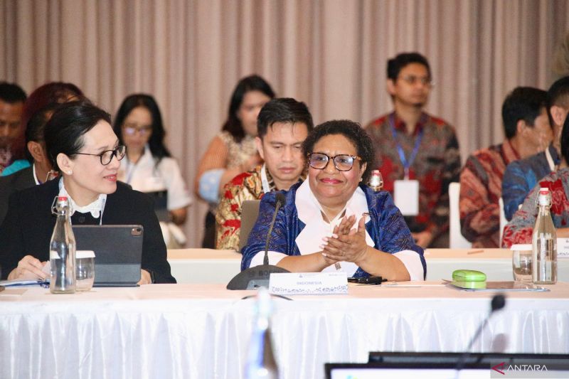 Wamendagri Ribka kawal alokasi dana penanganan Malaria di Papua