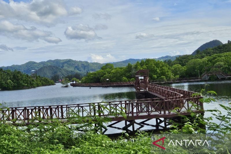 Pemprov: Pengelolaan hutan lestari di Papua butuh tiga prinsip utama
