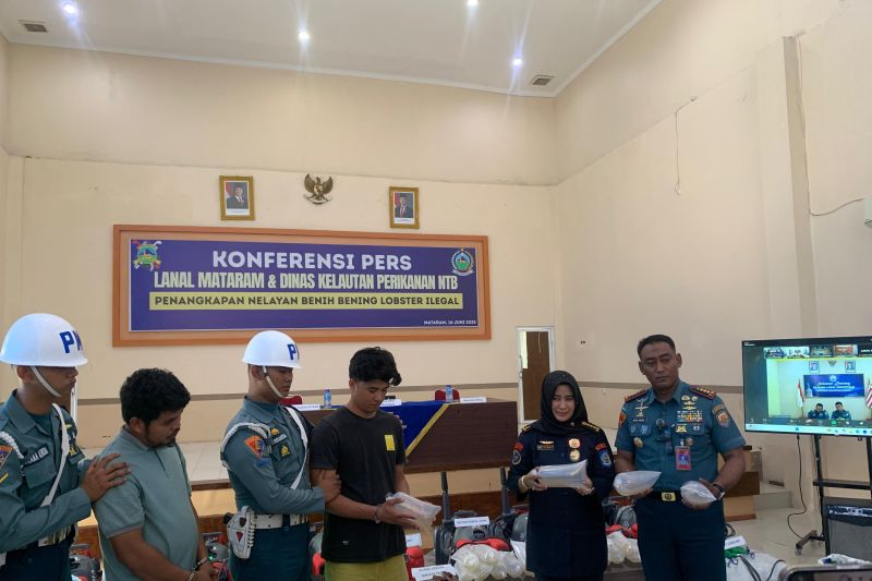 TNI AL selamatkan benih lobster dari tangan nelayan ilegal di NTB