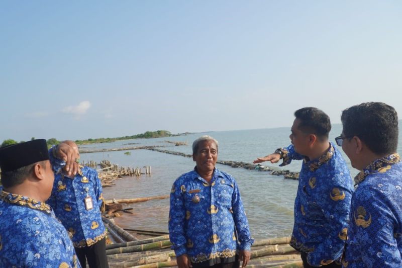 Enam desa di Jepara rawan tenggelam akibat abrasi