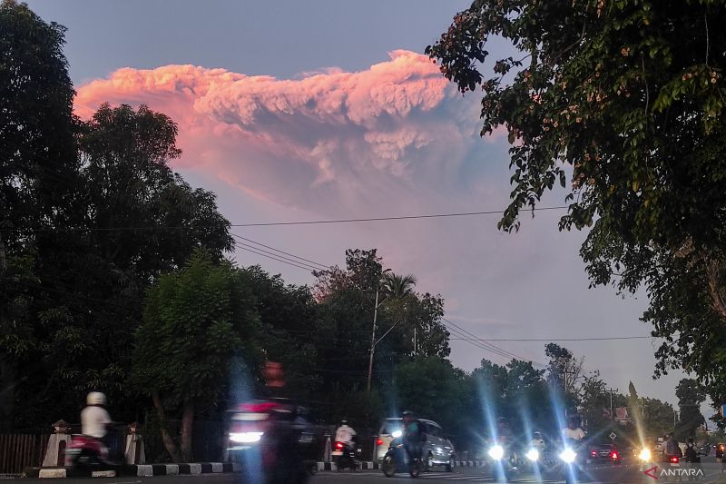 BNPB: Dampak erupsi Lewotobi meluas, jumlah pengungsi bertambah