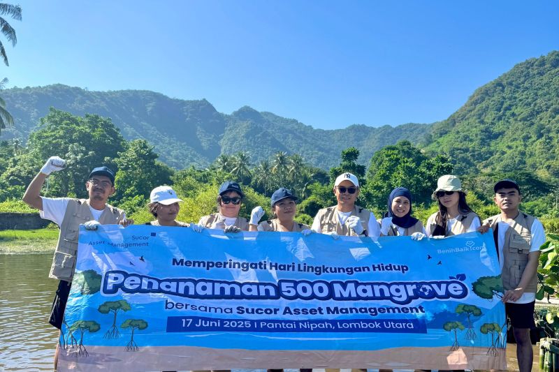 sucor-am-dukung-keberlanjutan-lingkungan-melalui-penanaman-mangrove