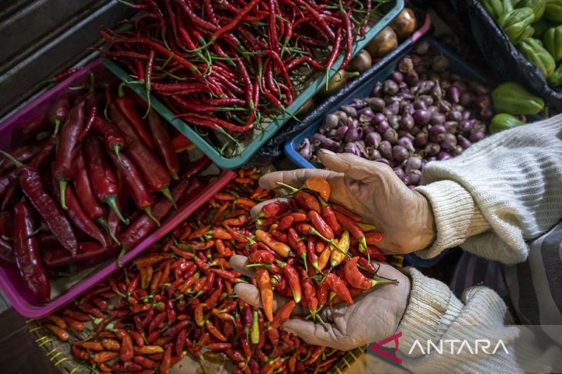 Bapanas: Harga bawang merah Rp42.045/kg, cabai rawit Rp51.140/kg