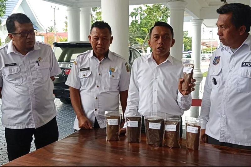 desa-cendrana-sukses-kembangkan-perkebunan-kopi-di-sidrap