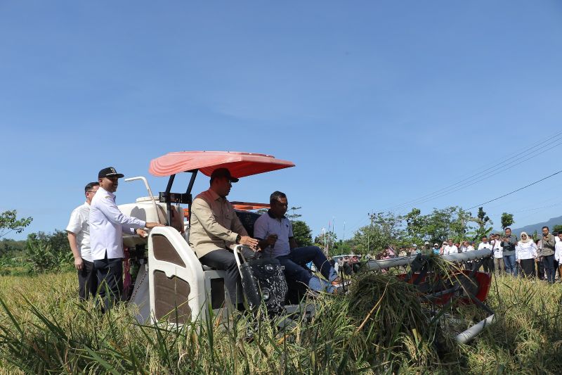 wamentan-dorong-pemkab-ngawi-tingkatkan-produktivitas-pertanian