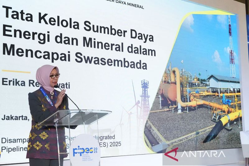 bphmigas-swasembada-energi-dorong-pengembangan-infrastruktur-gas