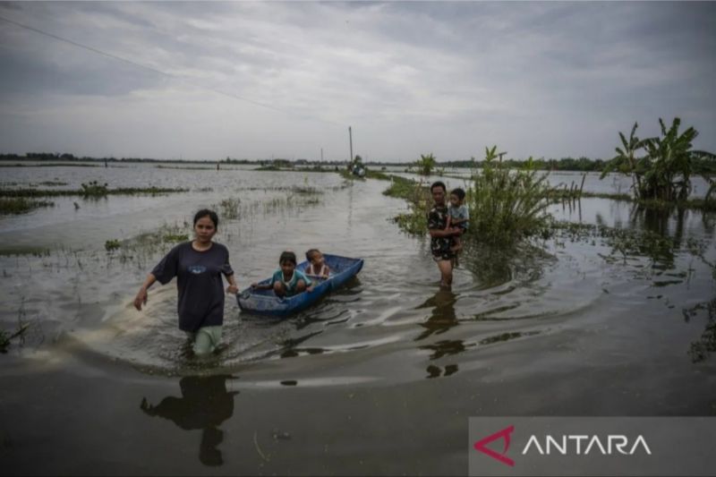 BNPB: Tanggul Sungai Tuntang jebol picu banjir berkepanjangan di Demak