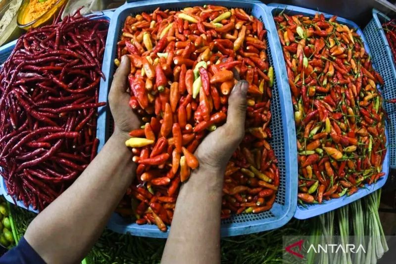 bapanas-harga-bawang-merah-rp43413kg-cabai-rawit-rp51962kg