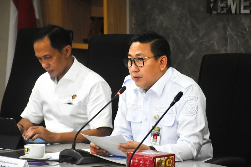 kementan-menggandeng-satgas-pangan-polri-stabilkan-harga-ayam-hidup