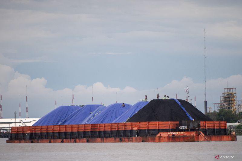 harga-batu-bara-acuan-periode-pertama-juli-naik-874-dolar-as-per-ton