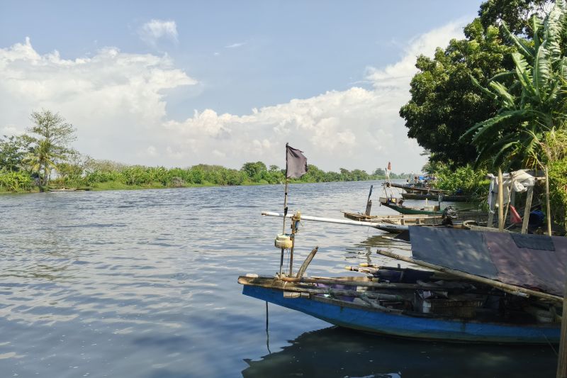 Sungai Ciujung tercemar limbah pabrik, air bau dan tambak warga rusak
