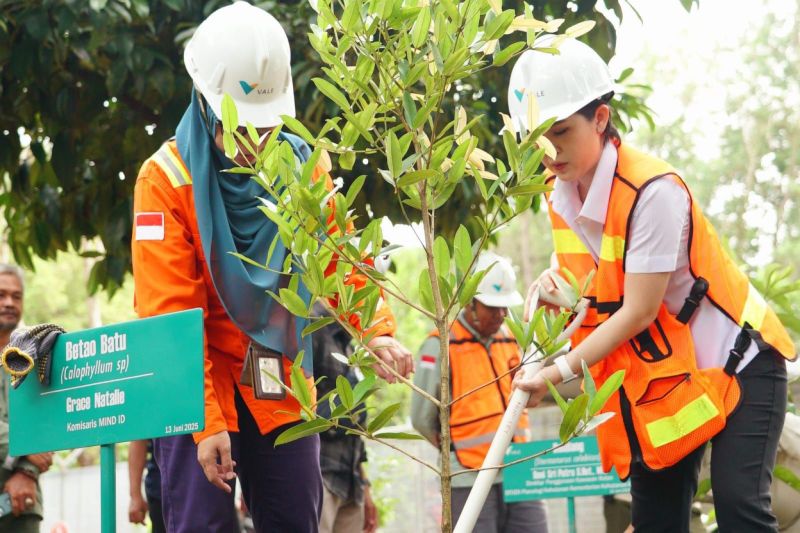 reforestasi-vale-indonesia-capai-tiga-kali-lipat-luas-tambang