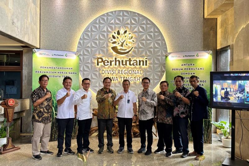 pt-sgn-perum-perhutani-kolaborasi-percepat-swasembada-gula-nasional