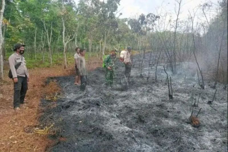 BPBD Sumsel temukan 113 titik panas pada Juni 2025