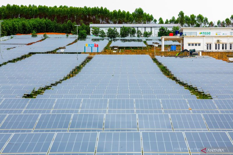 Otorita bersama Singapura kembangkan energi hijau di IKN