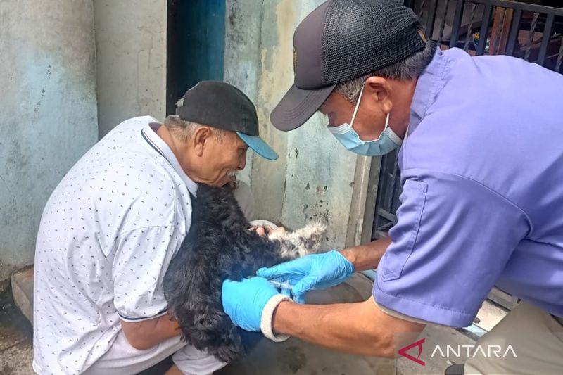 Vaksinasi hewan penular rabies di Jakbar capai 40 persen dari target
