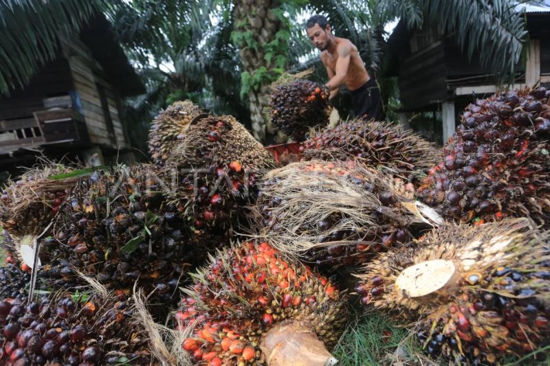 indonesia-perlu-selaraskan-standar-produk-agar-masuk-ke-pasar-global