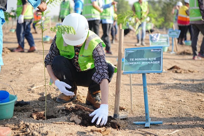 Green Mining, Bukit Asam (PTBA) tanam ratusan pohon di lahan pascatambang