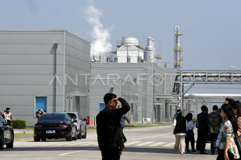 csis-ungkap-tantangan-kebijakan-industri-hijau-di-indonesia