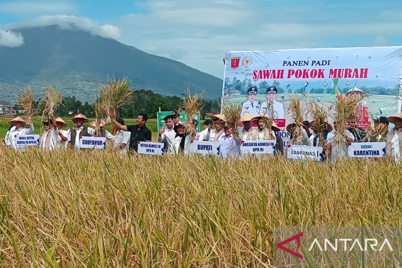 komisi-iv-dpr-ri-tinjau-ketahanan-pangan-program-sawah-pokok-murah
