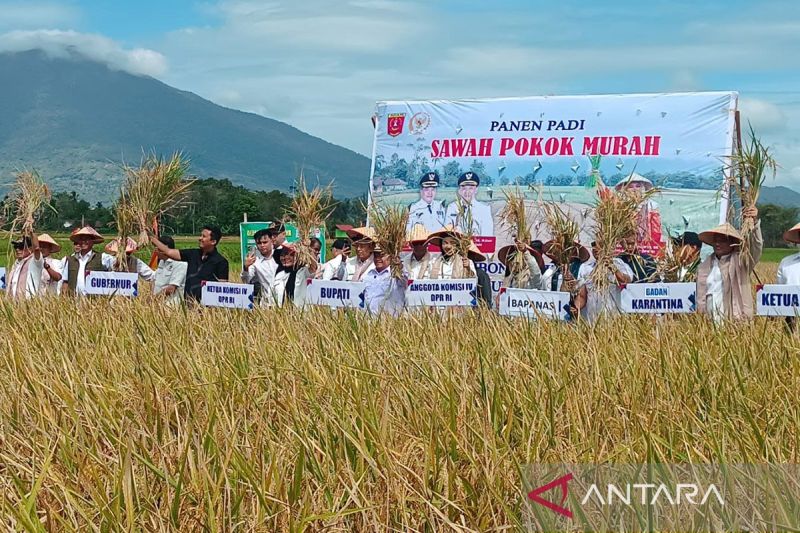Komisi IV DPR RI tinjau ketahanan pangan program sawah pokok murah