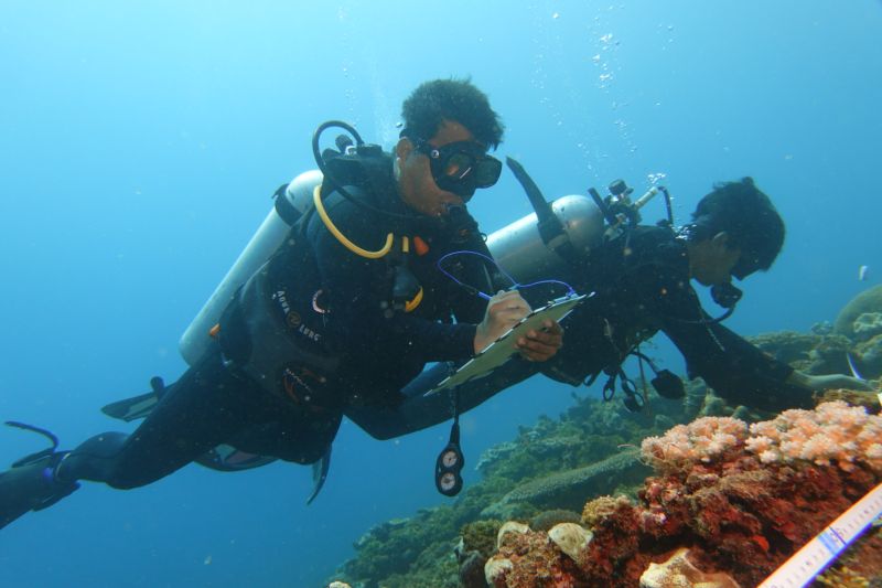 YKAN bantu lestarikan biodiversitas Tambrauw jaga potensi Tanah Papua